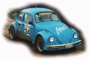 AWD Rally Bug